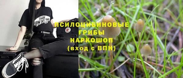 гидра Пролетарск
