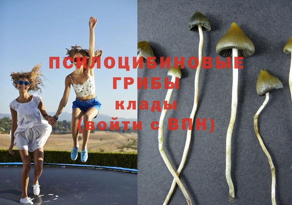 молекула духа Абаза